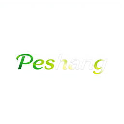 A modern and sleek logo design for a currency exchange company named 'Peshang'