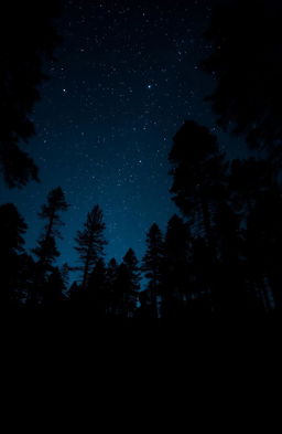 A solitary figure standing in a dark forest, surrounded by towering trees and a starry night sky