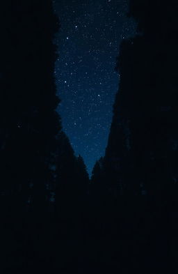 A solitary figure standing in a dark forest, surrounded by towering trees and a starry night sky
