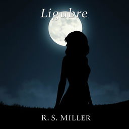 A minimalist book cover design featuring a 2D silhouette of an enigmatic and captivating female figure with a distant gaze