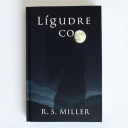 A minimalist book cover featuring the silhouette of an enigmatic female figure with her face partially obscured by shadows, suggesting mystery and yearning