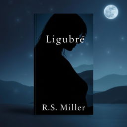 A minimalist book cover featuring the silhouette of an enigmatic female figure, her face partially obscured by shadows suggesting mystery and longing
