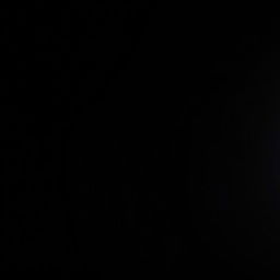 A photo of the main subject positioned on the right-hand side of a black background