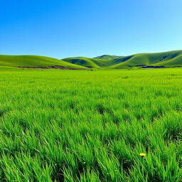 A picturesque landscape featuring a lush, vibrant green meadow under a clear blue sky