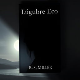 A minimalist book cover featuring the enigmatic silhouette of a female figure, her face partially cloaked in shadows that evoke mystery and longing
