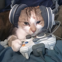 Cat gaming's avatar