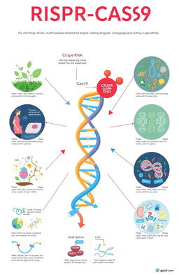 An educational illustration depicting the CRISPR-CAS9 gene editing technology
