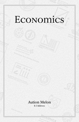 An elegant and minimalist book cover for an economics textbook
