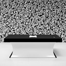 A beautifully designed program table featuring a striking black and white color scheme