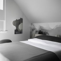 Modern interior of a bedroom with a monochrome theme