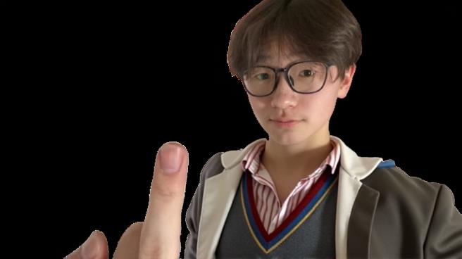 A young person wearing a Harry Potter themed outfit, complete with a Gryffindor robe, a scarf in school colors, and round glasses