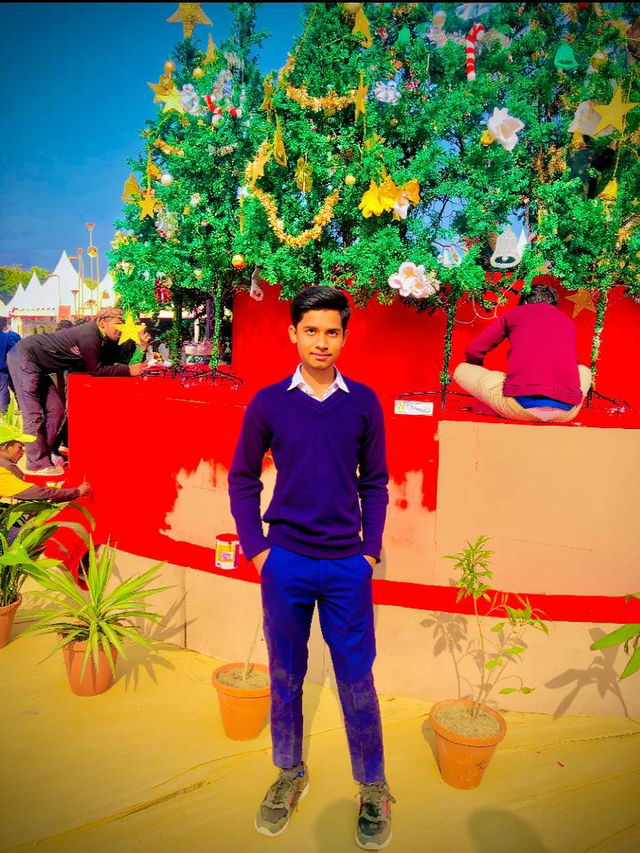 A young male standing confidently in front of a beautifully decorated Christmas tree adorned with colorful ornaments and twinkling lights