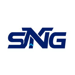 A sleek and modern logo design for a brand called 'SNG'