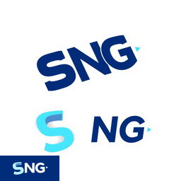 A sleek and modern logo design for a brand called 'SNG'