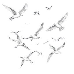 A dynamic pencil sketch of a flock of birds in flight, showcasing various species with their wings spread wide and graceful movements captured mid-air