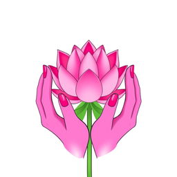 A minimalist illustration featuring two elegant hands gently holding a vibrant pink lotus flower