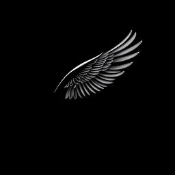 A visually striking design featuring a black theme with a detailed illustration of a bird's wing