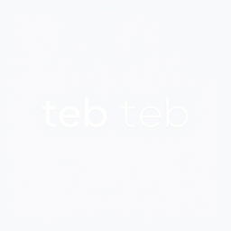 A modern and sleek logo design featuring the name 'teb' prominently displayed