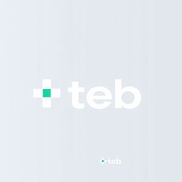 A modern and sleek logo design featuring the name 'teb' prominently displayed