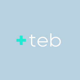 A modern and sleek logo design featuring the name 'teb' prominently displayed