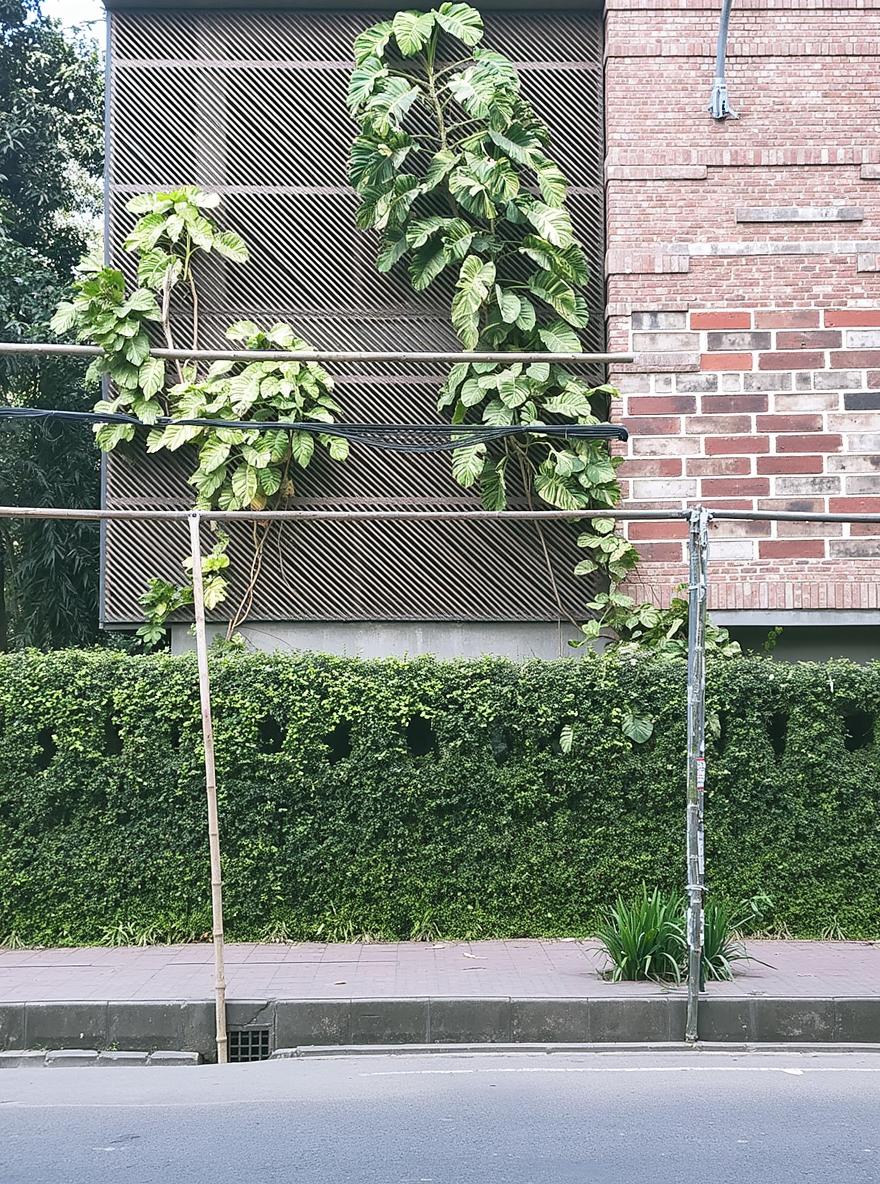 A modern architectural scene featuring a textured brick wall as the backdrop with intricate details