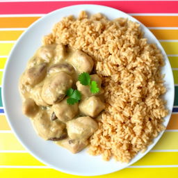 A delicious plate of chicken stroganoff served beside a generous portion of fluffy brown rice