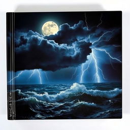 A dramatic book cover depicting a stormy night over the sea