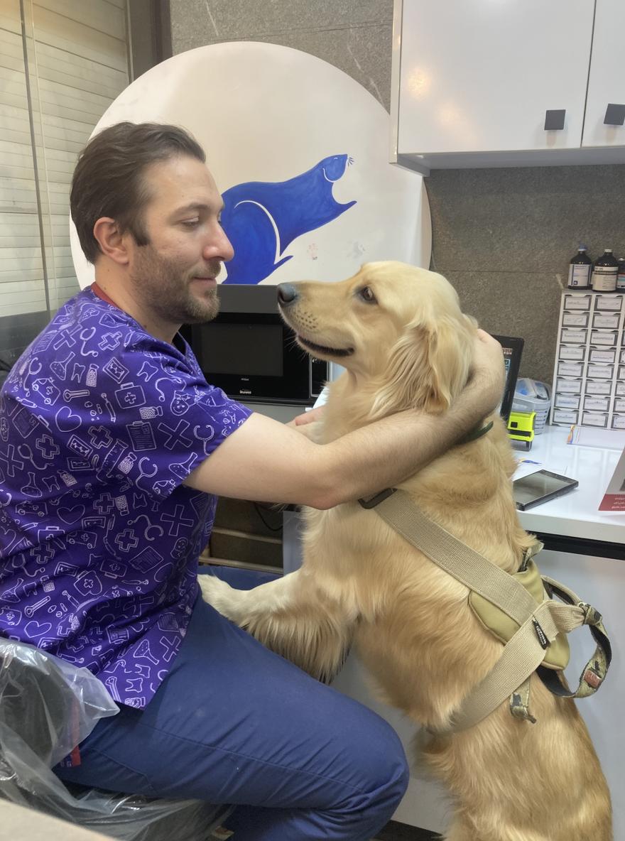 A warm and friendly scene depicting a veterinarian gently interacting with a cheerful Golden Retriever