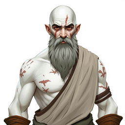 A character design of a white-skinned monk, featuring scars on his body and a distinctive scar on his face