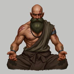 A fantasy character design for a Dungeons & Dragons monk, around 45 years old, with light brown skin, featuring scars on his body and a notable scar on his face