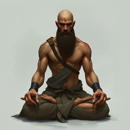 A fantasy character design for a Dungeons & Dragons monk, approximately 45 years old and 1