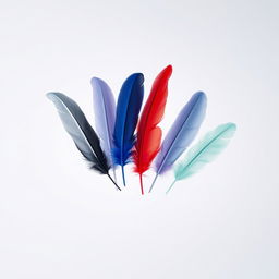 Six feathers delicately floating together in mid-air, each featuring a distinct color: white, black, violet/purple, blue, red, and mint green