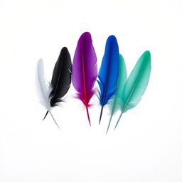 Six feathers delicately floating together in mid-air, each featuring a distinct color: white, black, violet/purple, blue, red, and mint green