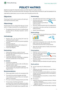 A detailed report layout for monitoring policy activities, featuring various sections such as an executive summary, objectives, methodology, findings, analysis, and recommendations