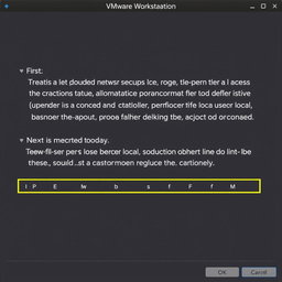 In a VMware Workstation environment, create a detailed instructional profile for a specific user