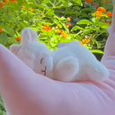 lucid-robin's avatar