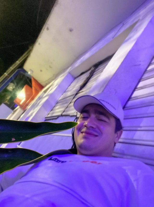 A vibrant, lush tropical scene featuring a variety of tropical plants such as palm trees, vibrant flowers, and thick leafy foliage