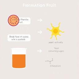 A clear and educational diagram illustrating the process of fermentation