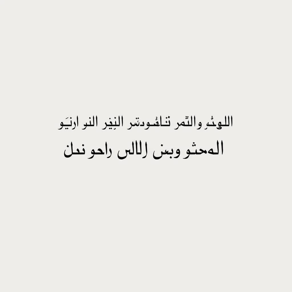 A simple, elegant background for a text composition featuring the phrase: "دیدار دوباره با تو، مانند بازگشت به ویرانه‌ای است که تنها یادآور شکست‌های بی‌پایان است؛ و من هرگز به زباله‌دان احساساتم برنمی‌گردم