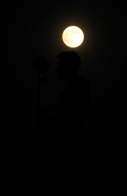 A silhouette of a man standing under the moonlight, holding a single sunflower