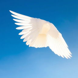 A large and elongated white wing stretched wide open in a clear blue sky, without any clouds