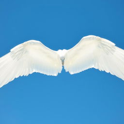 A large and elongated white wing stretched wide open in a clear blue sky, without any clouds
