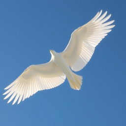 A large and elongated white wing stretched wide open in a clear blue sky, without any clouds