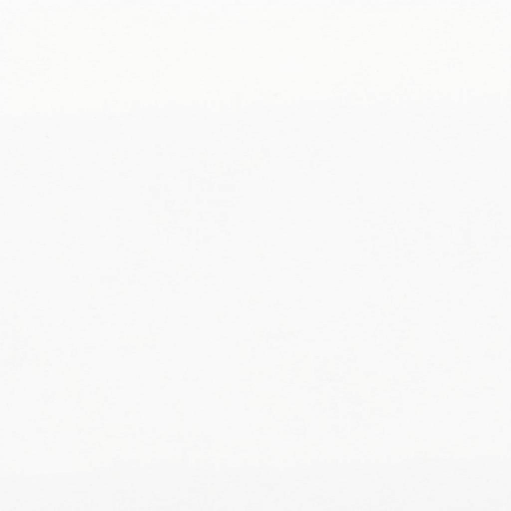 A plain white background designed for a critique paper, featuring a clean and professional aesthetic