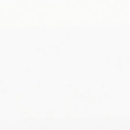 A plain white background designed for a critique paper, featuring a clean and professional aesthetic