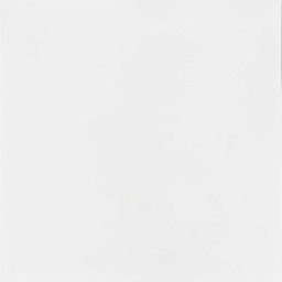 A plain white background designed for a critique paper, featuring a clean and professional aesthetic