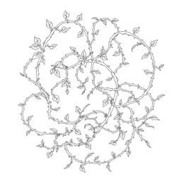 A captivating line drawing of ensnaring vines, intricately woven and tangled together