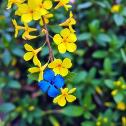A delicate arrangement featuring a branch adorned with vibrant yellow flowers, interspersed with lush green leaves, and prominently showcasing a single striking blue flower nestled among them