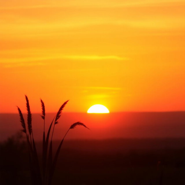 A photo featuring a vibrant sunset over a serene landscape, with the sun halfway dipped below the horizon casting warm golden and orange hues across the sky