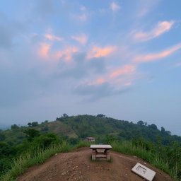 বাঙালি ভাষায় লেখা ১৯